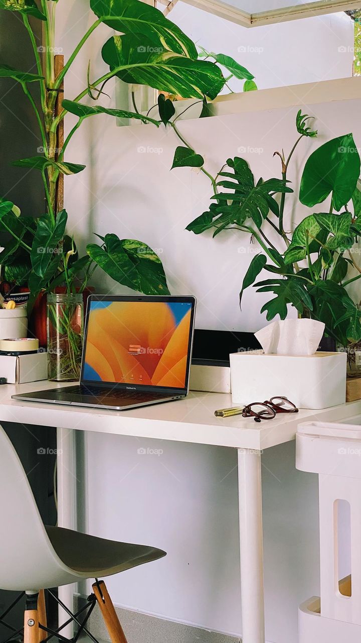 Our tiny desk with a lots off plants, just focus on your vibes! 