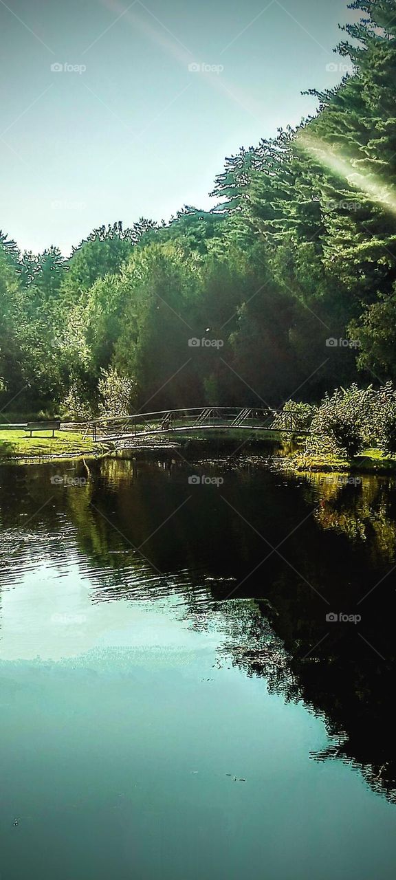 Bridge Over Calm Waters