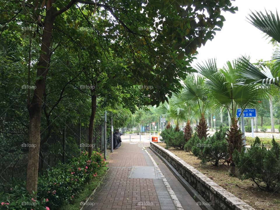 Urban View: Hong Kong