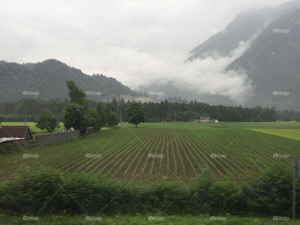 Agricultura en los valles de los alpes suizos