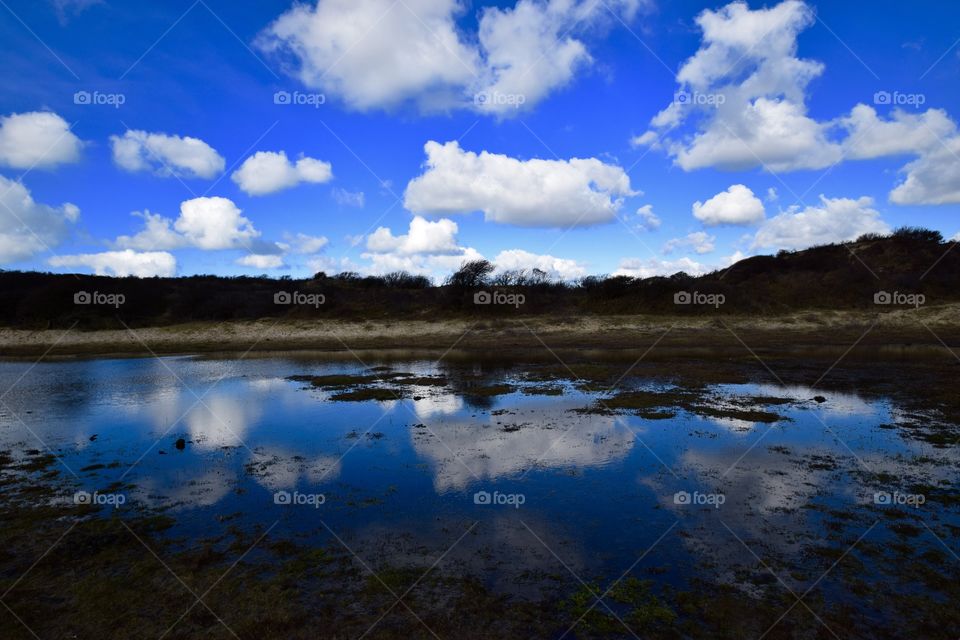 The dunes in Holland