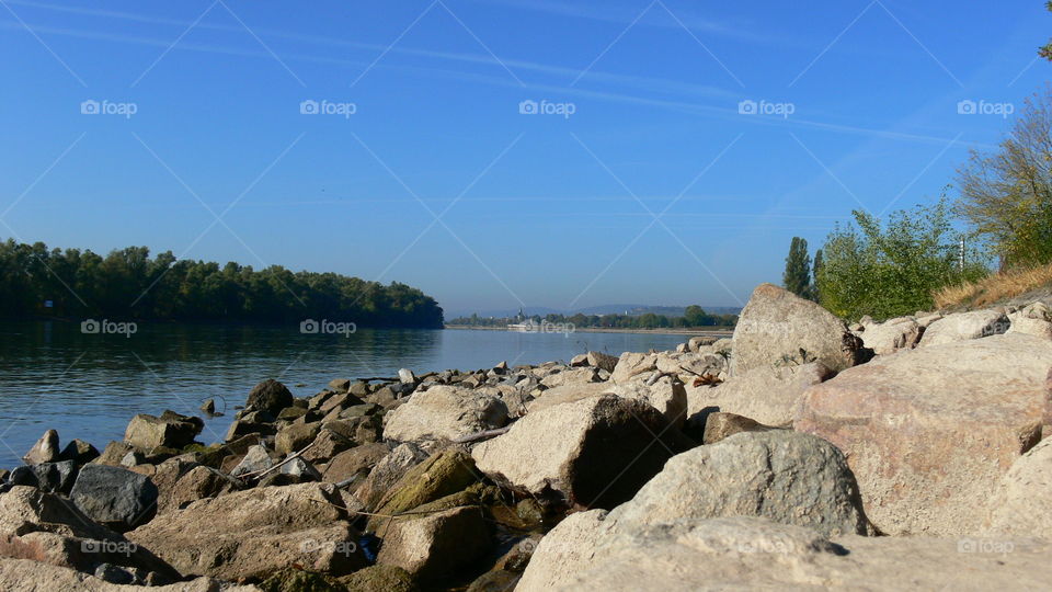 Rhein