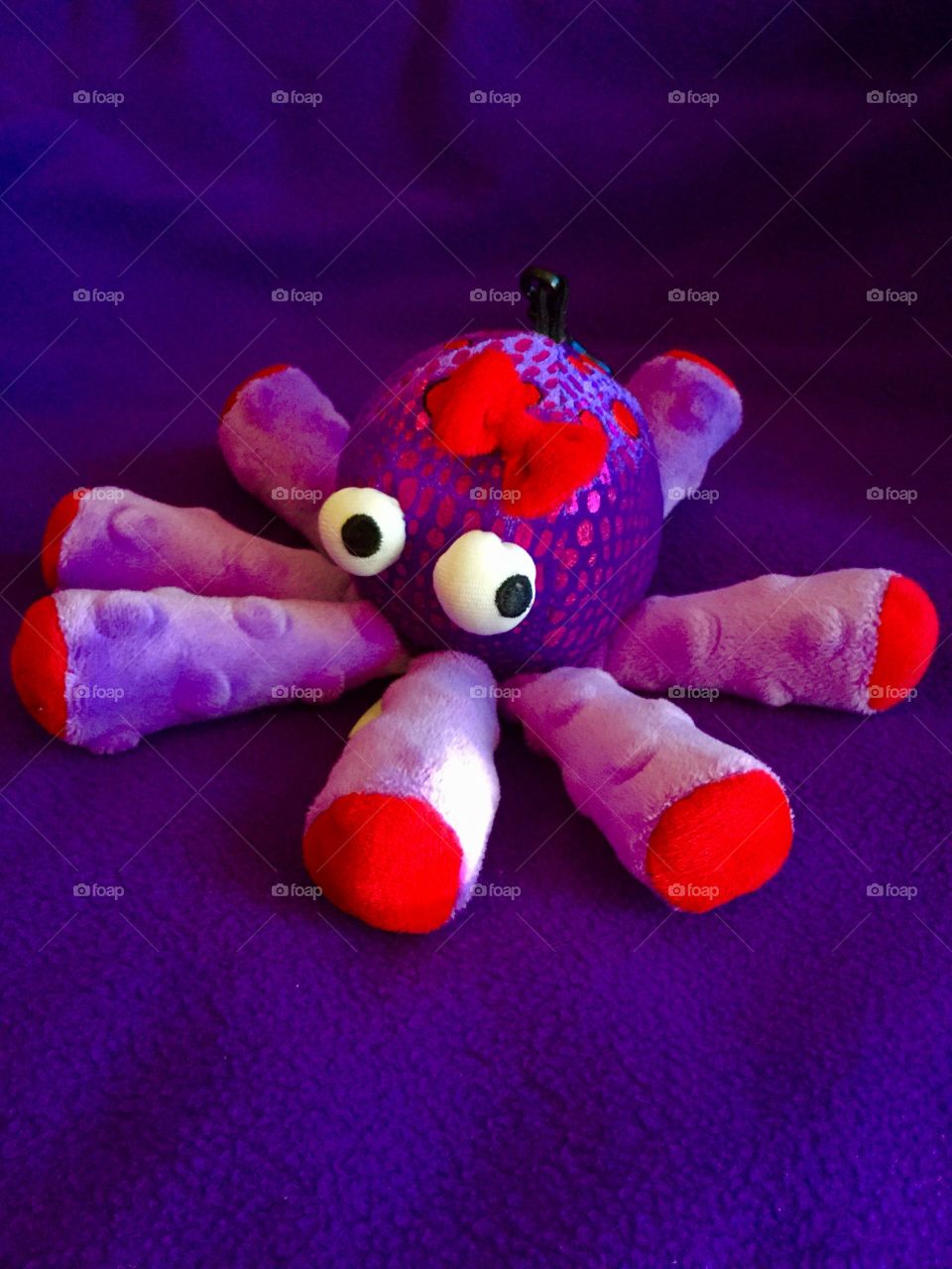 Purple Baby Octopus 
