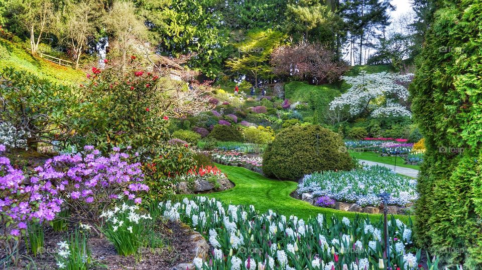 Butchart Gardens Vancouver Island