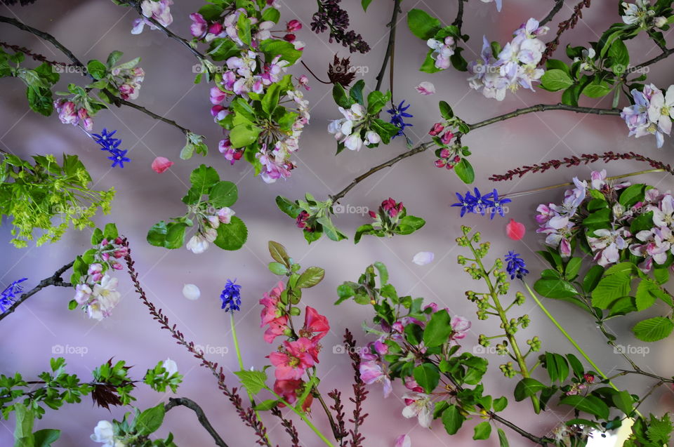 Still Life with Flowers, Blossoms and Buds
