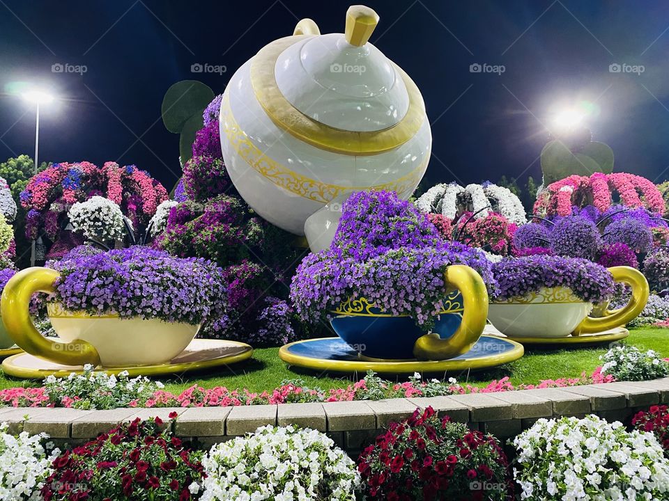 Dubai miracle garden 