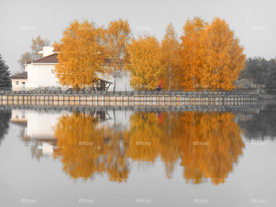 autumn lake