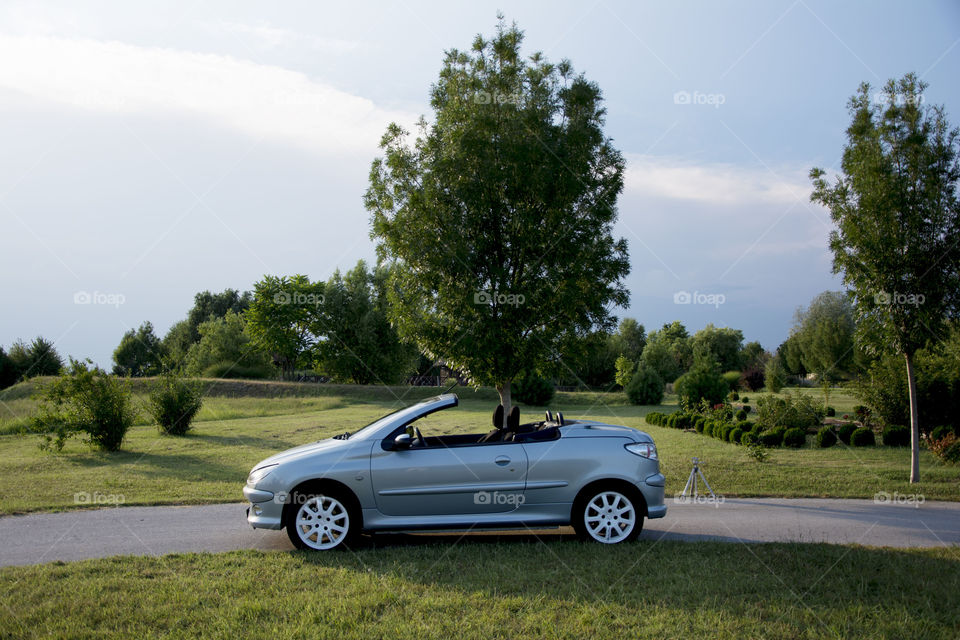 peugeot 307 in nature. peugeot 307 convertible in nature with roof rop down