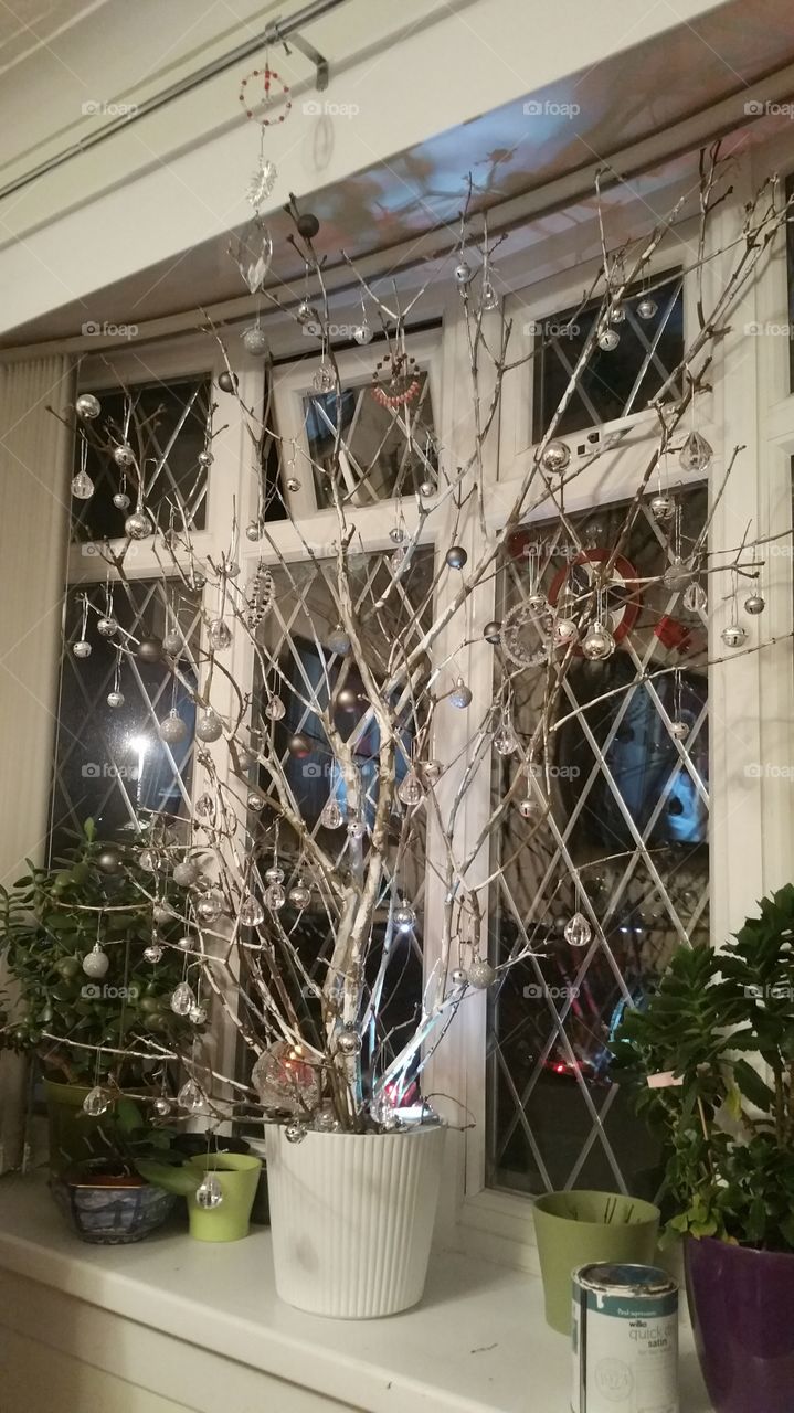 window wishing tree