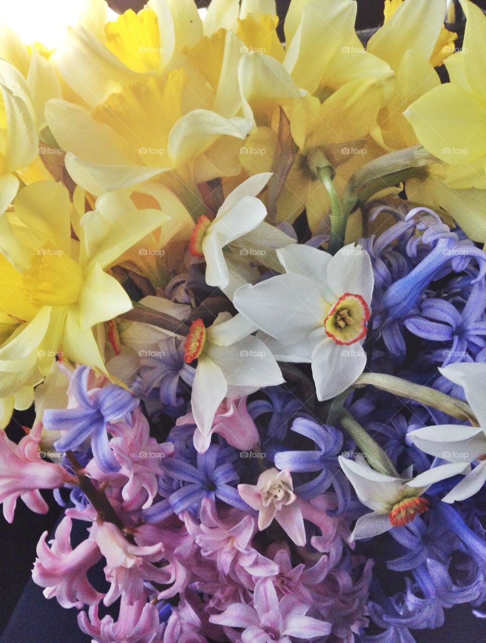 Bouquet of spring flowers - daffodils, narcissus and hyacinth