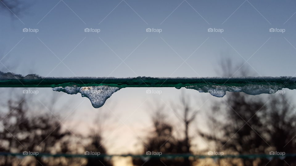 frozen drops