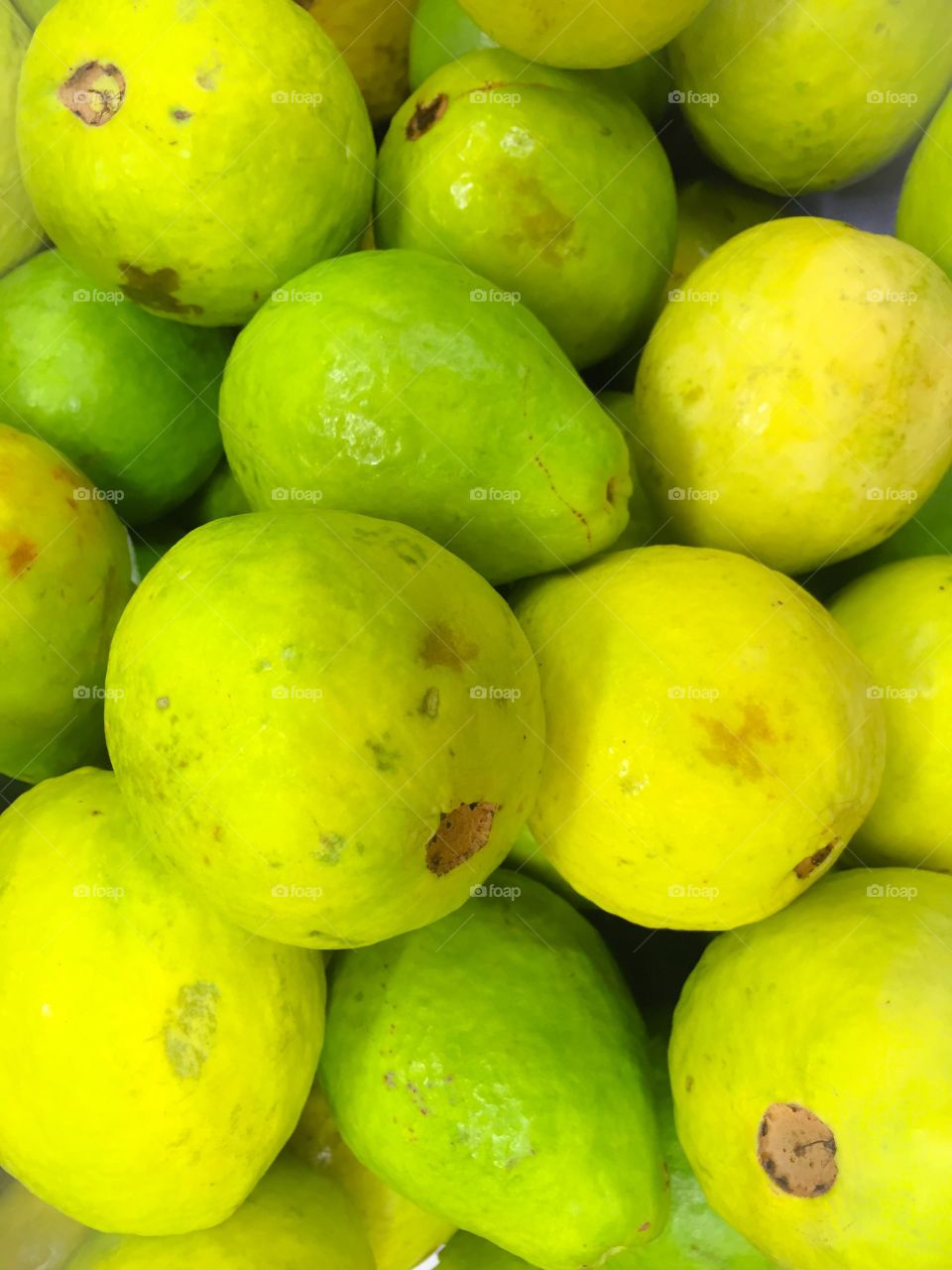 Guava fruit