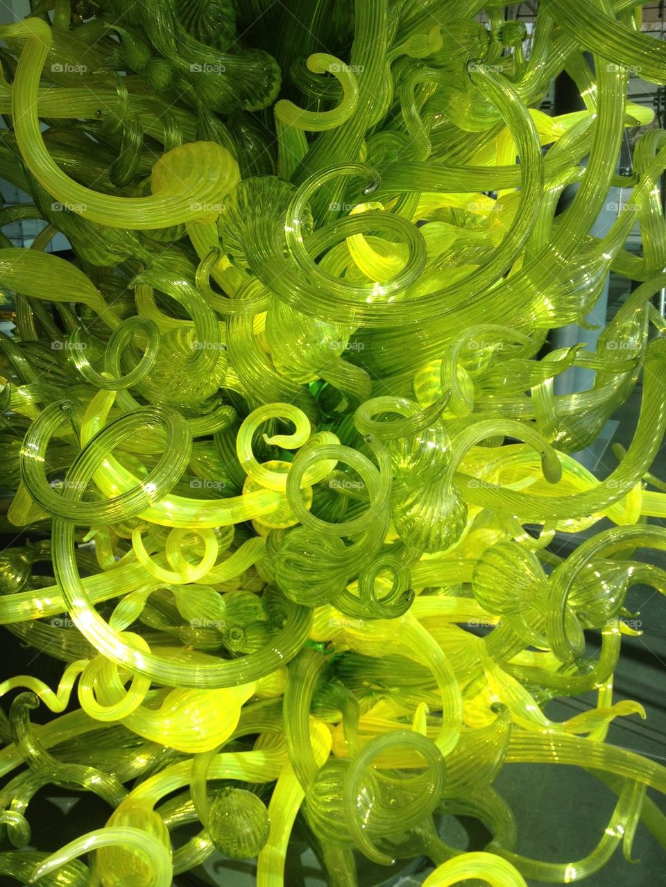 Chihuly Yellow Glass Sculpture