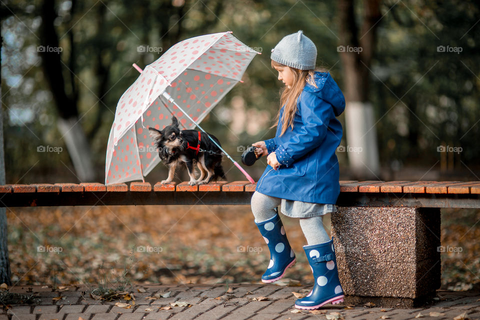 Little girl with umbrella in waterproof boots walking with chihuahua dog 