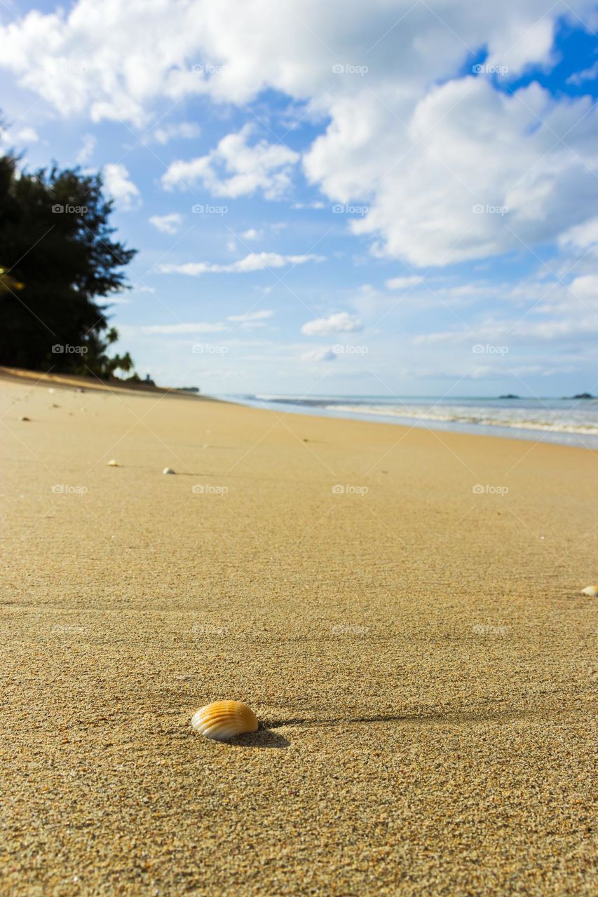 Sun is out. So are the flip flops and shorts. Nice warm, sunny day on perfect sandy beaches of Sri Lanka.