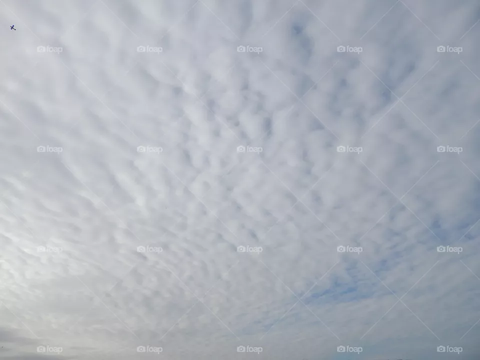 Clouds 
