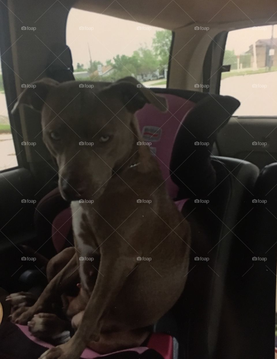 You want me to do what ?