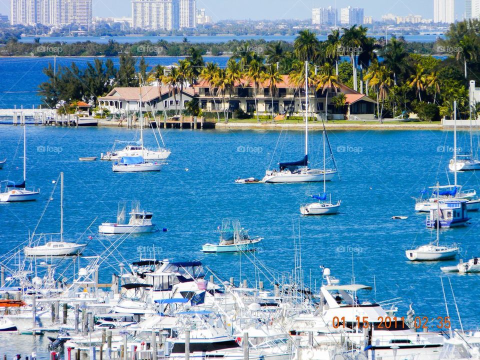 Star Island Miami. Picture of Miami Beach surroundings 