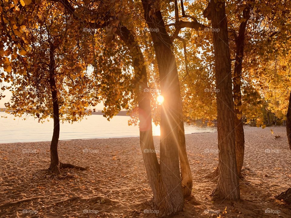 Autumn Lakeside Sunset With Leaves Changing