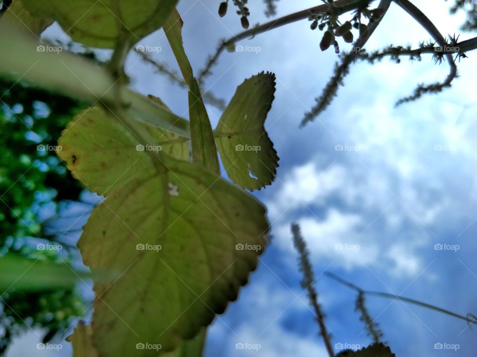 make your day beautiful