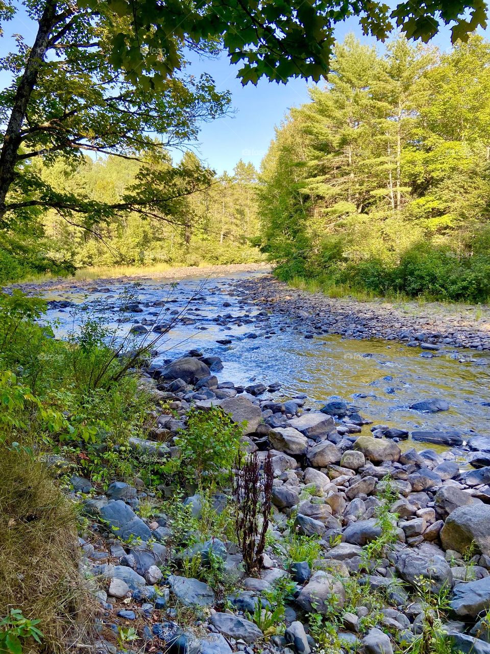 Surgeon River in the Upper Peninsula of Michigan