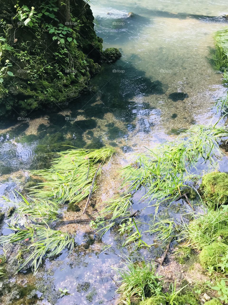 Gorgeous natural perfectly clear spring water in Ha Ha Tonka State Park in Missouri! 