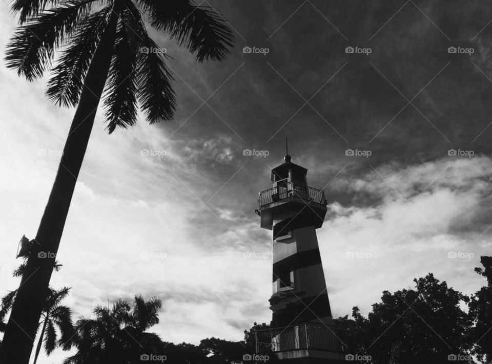 lighthouse and palm trees