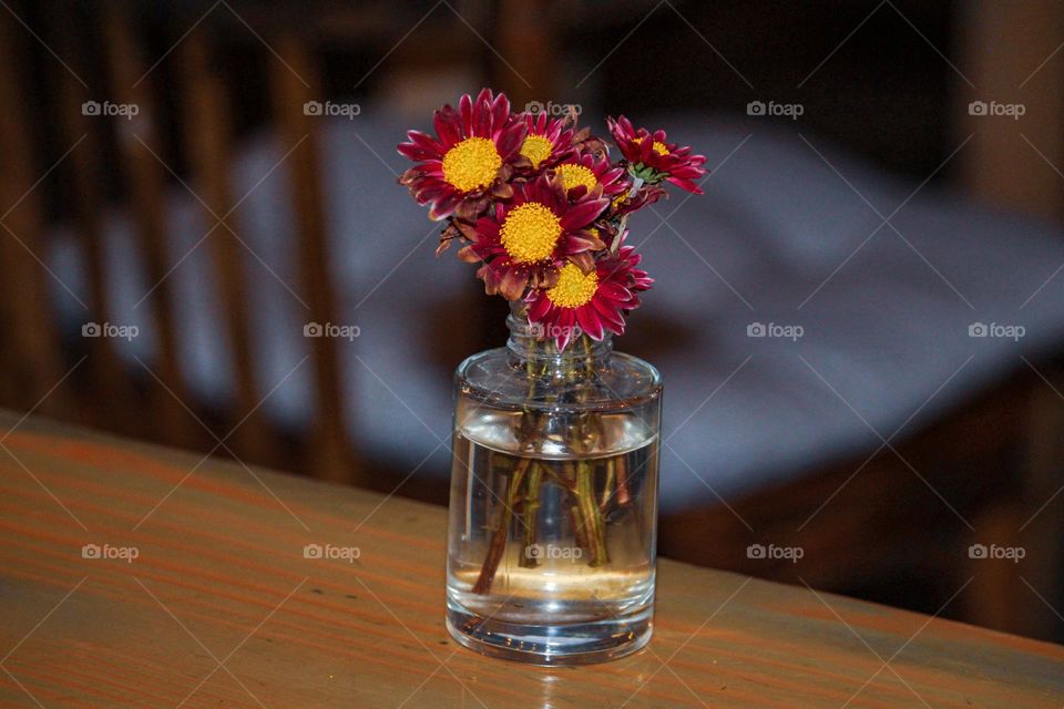 Flower in vase