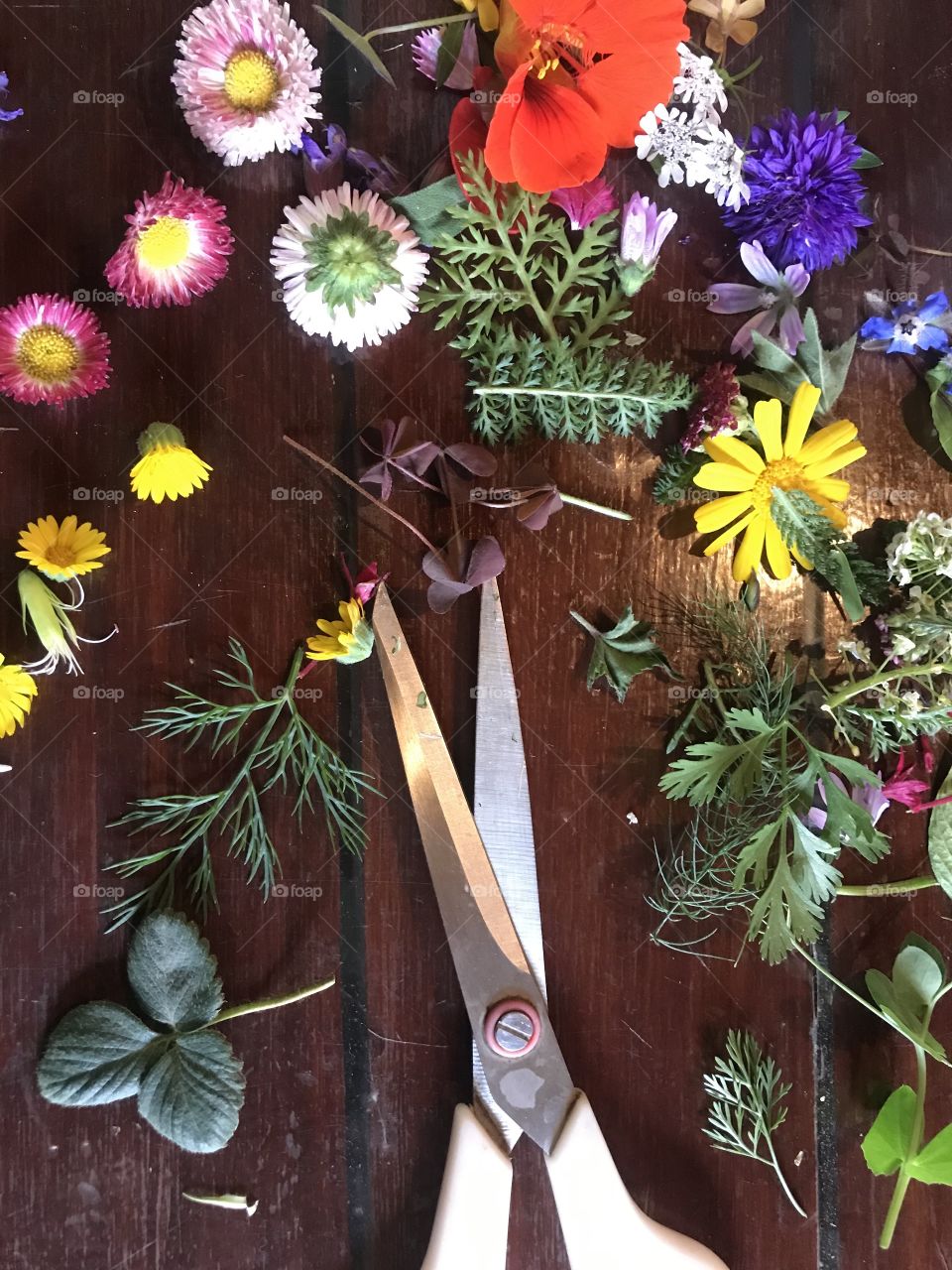 Crafting with spring flowers and leaves.  Making pressed flowers