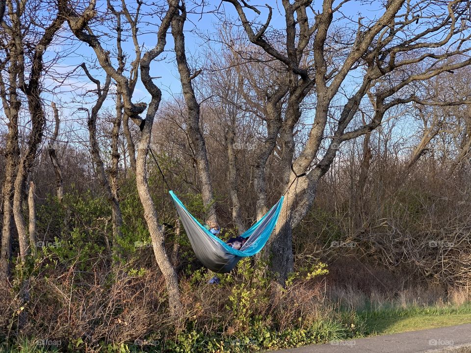 Self isolation or relaxation ? Man on a canapés hanged on trees by the road- I would call it craving for attention 