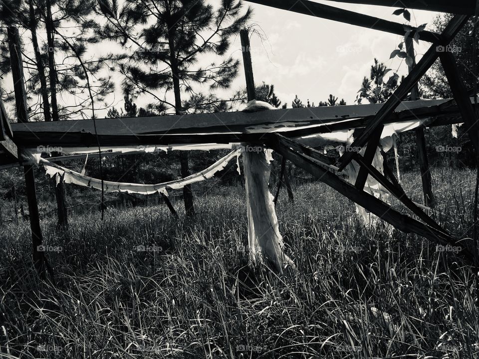 Hawthorne Nursery urbex abandoned