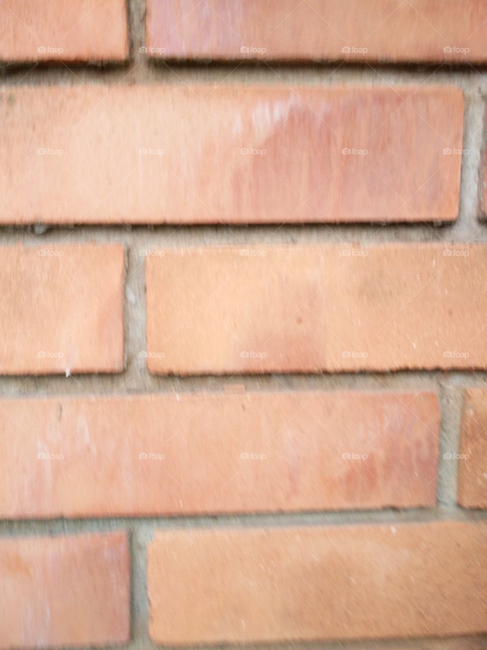 wall