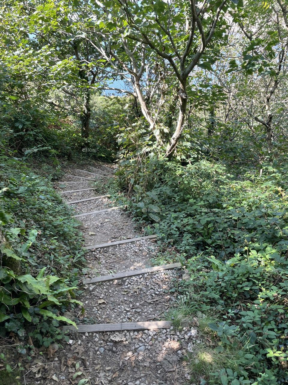 Steps down to the beach 🏖️