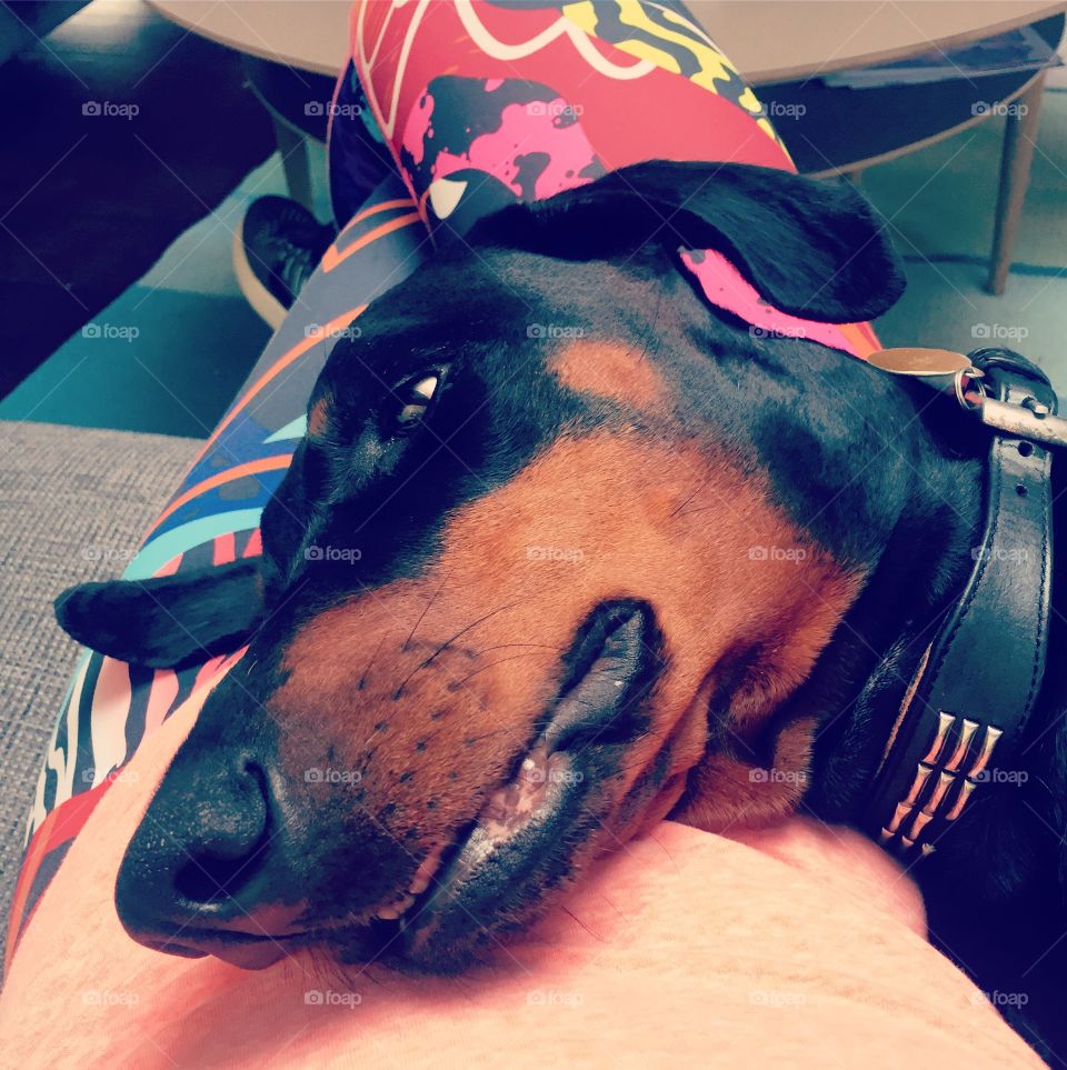 Recovery after training 