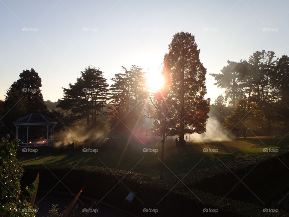 Halloween sunset in gardens 