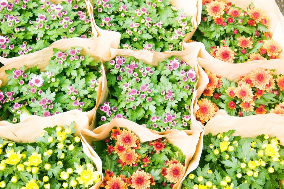 Lily Flower Bouquet in a variety of colors