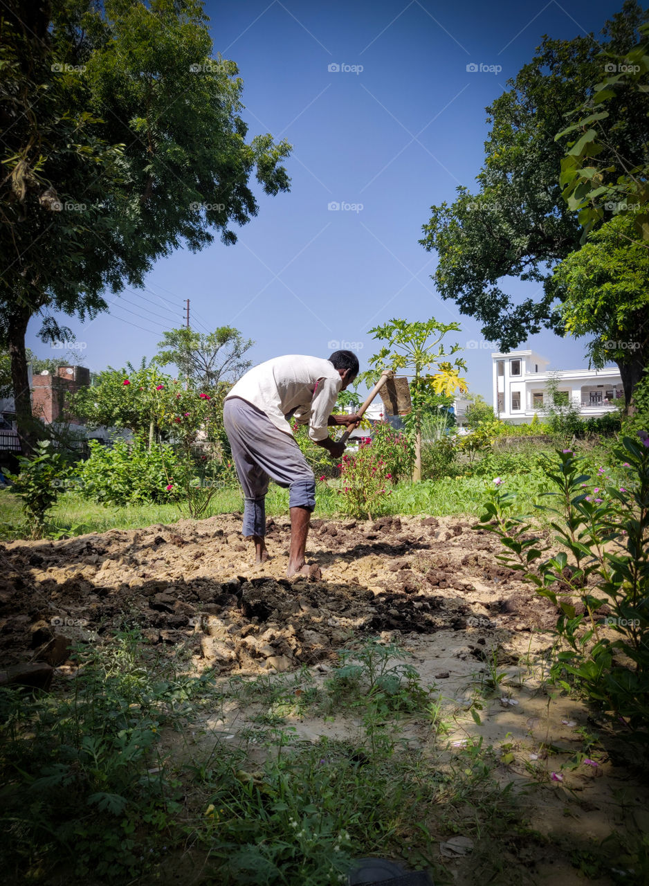 Farmer working on field to grown crops for his family