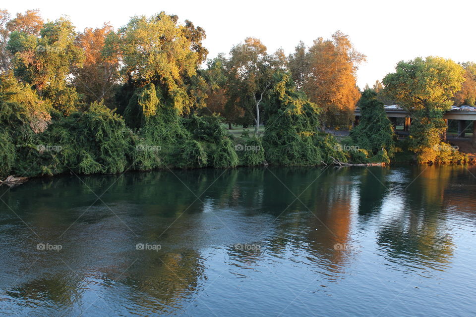 Water, Fall, Tree, River, Lake
