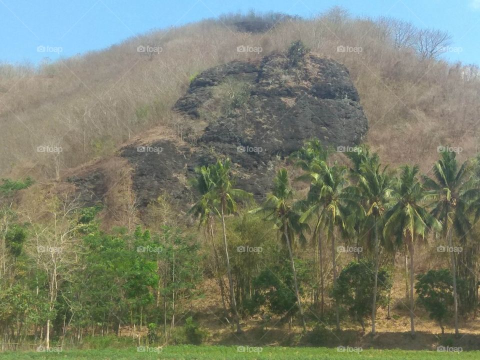 lombok