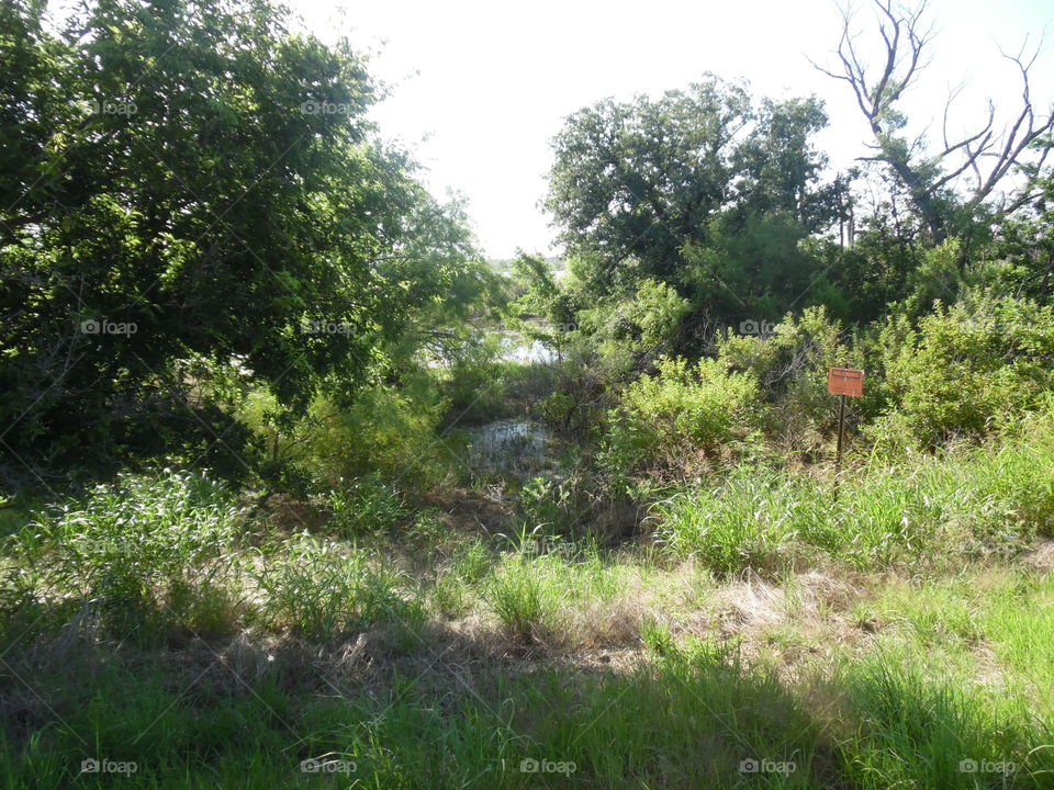Graham Texas Lake. This is another picture of the same Lake that I visited this week