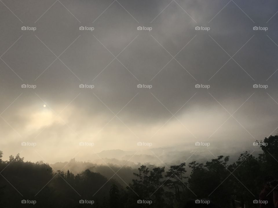 Sun in the back of the shadow