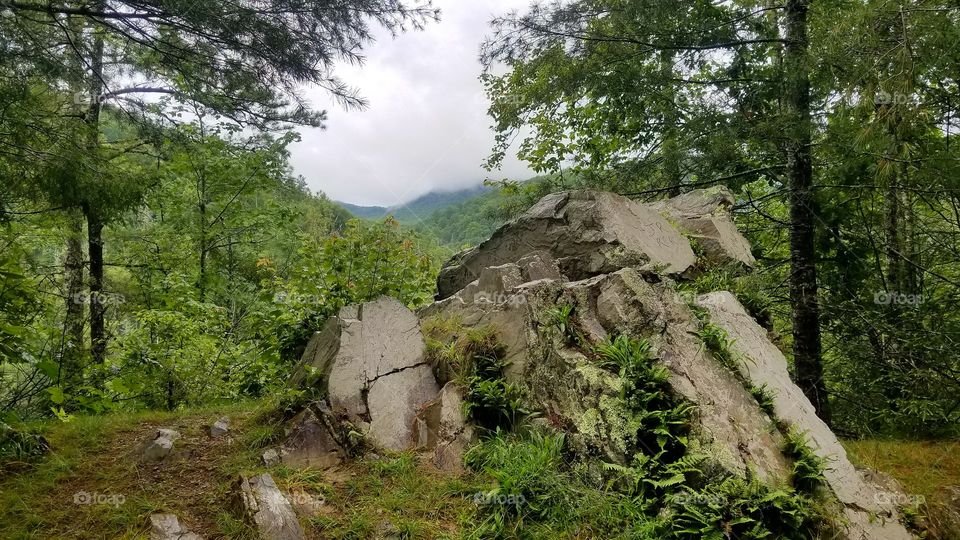 A rock outcrop on top of a mountain in the GreatSmoky Mountains National Park
