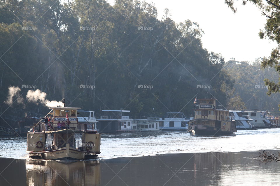 Majestic old paddlesteamers on the river