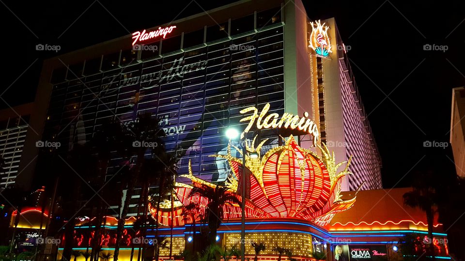 Flamingo Casino, Las Vegas
