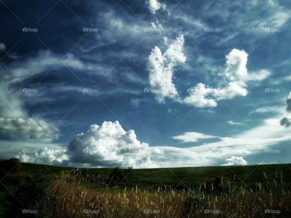Sky skyline horizont blue field grass moody nature greens wild