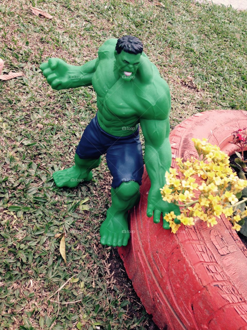 Hulk and flowers