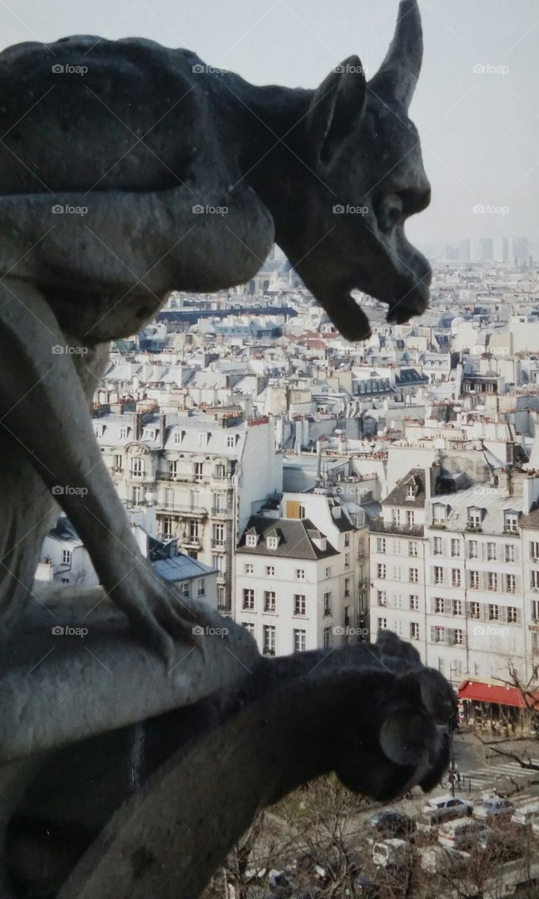 Gargoyle Over Paris