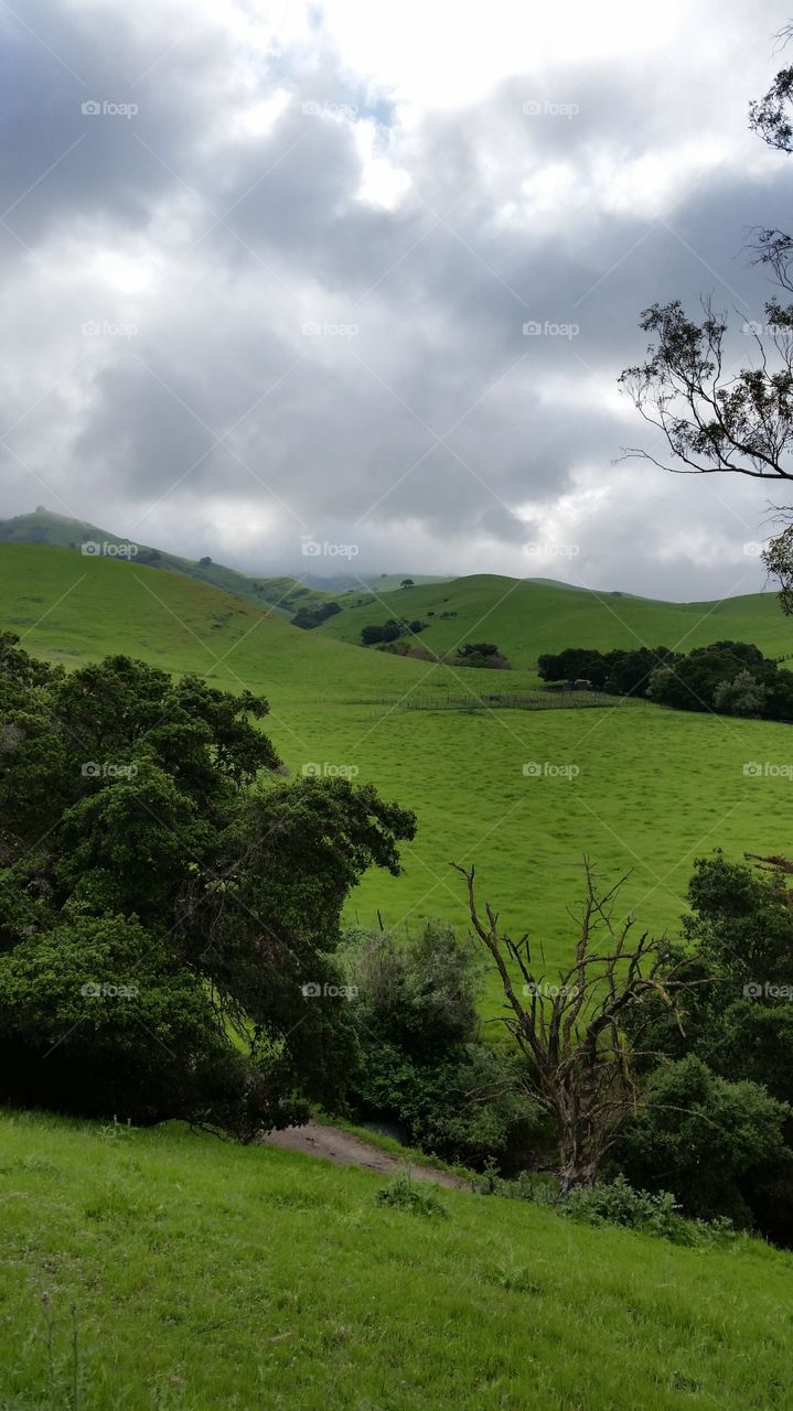 Lush green Hills, fog and cloudy sky, after rain