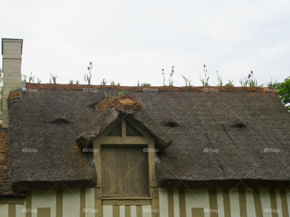 House, Building, Roof, Architecture, Old