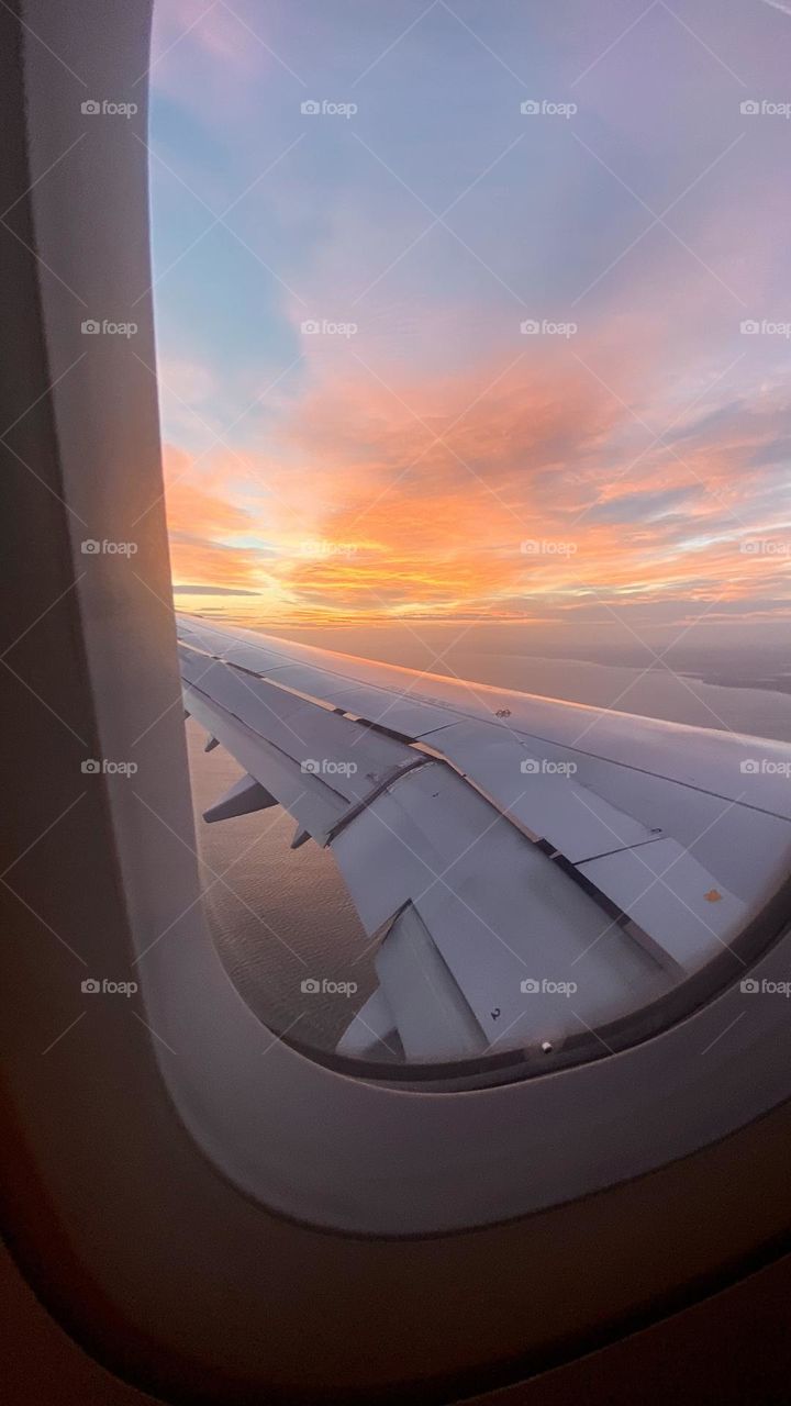 Morning wing view 
